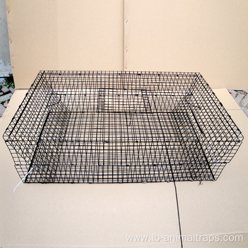 humane live trap mice rat control catch cage